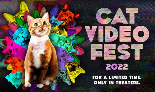 Cat-Video-Fest-2022-web_thumb.jpg